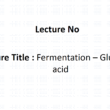 Fermentation – Glutamic acid PDF / PPT
