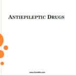 ANTIEPILEPTIC DRUGS PPT/PDF Download Now