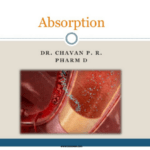 ABSORPTION REFERS TO THA PROCESS PPT/PDF Download Now