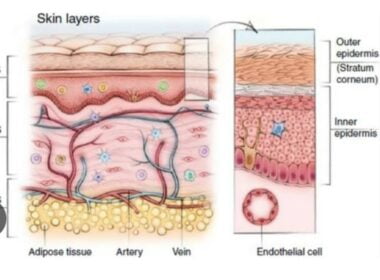 B. Pharm 7th sem Transdermal drug delivery system Download Now