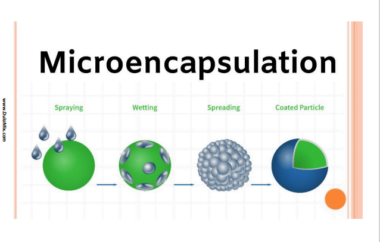 MICROENCAPSULATION PPT/PDF Download Now