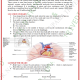 ANS- Anticholinergic handwritten notes Download Now